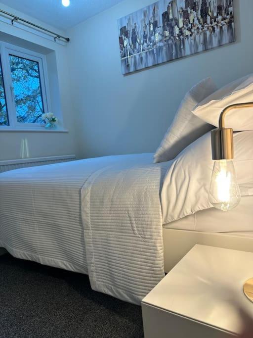 Stylish 2 Bedrooms Flat In A Quiet Cul-De-Sac Area, Near Sheffield City Centre With Free Parking المظهر الخارجي الصورة