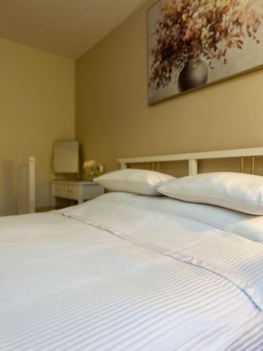 Stylish 2 Bedrooms Flat In A Quiet Cul-De-Sac Area, Near Sheffield City Centre With Free Parking المظهر الخارجي الصورة